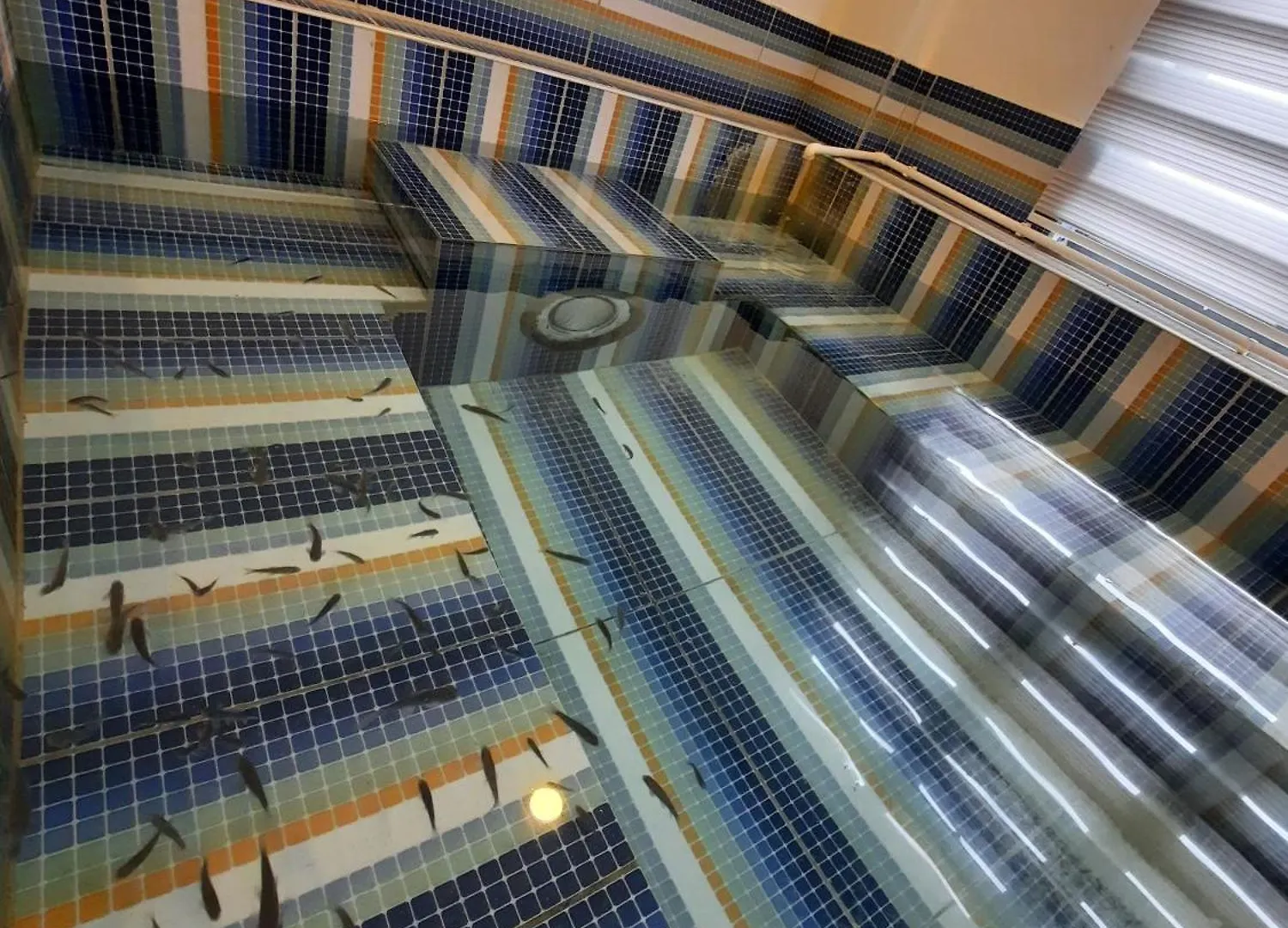 Efe Termal Otel Kütahya